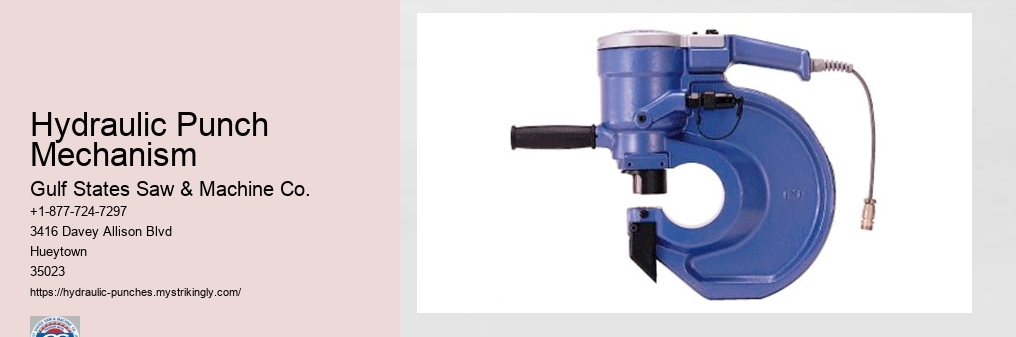 Hydraulic Punch Mechanism